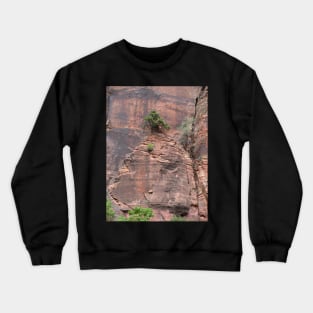 Bonsai In Rock Wall Crewneck Sweatshirt